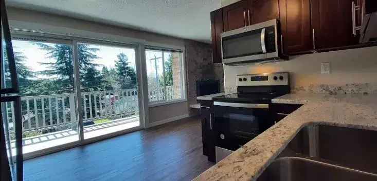 Rent Apartments in Burien WA with Modern Amenities and Community Vibe