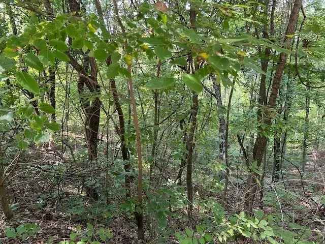 Land For Sale in Arkansas