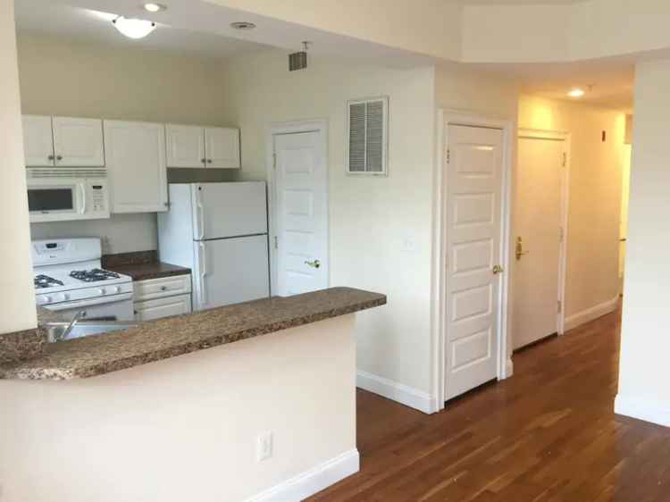 Rent Apartments in Allston with Spacious Layouts Near Boston University