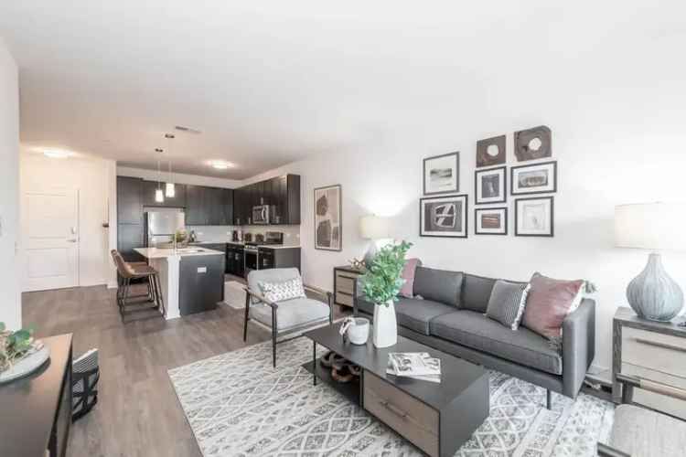 Rent Apartments in Schaumburg with Unparalleled Amenities