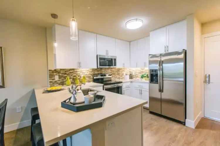 Rent Apartments in Palm Park - Newly Renovated Studios and 1BR Homes