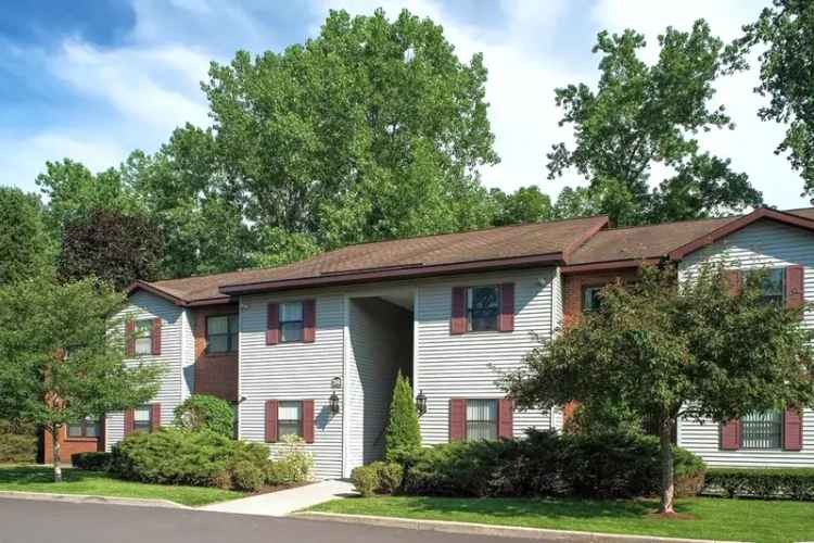 Rent Apartments in Guilderland with Amenities for Comfortable Living