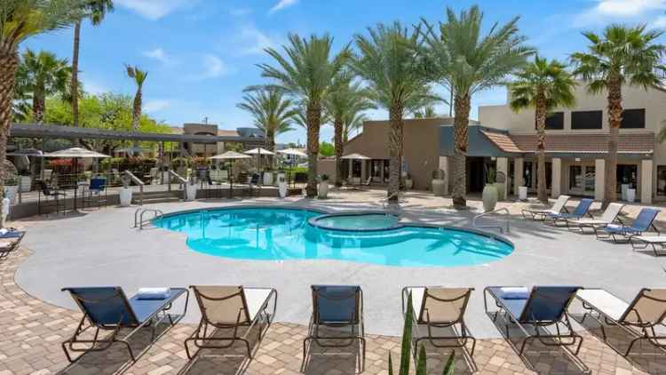 Rent Apartments in Mesa with Stunning Amenities and Desert Views