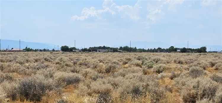 Land For Sale in Rosamond, California