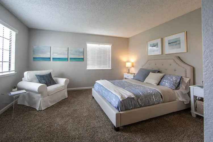 Rent Apartments at Barham Villas in a Pet Friendly Community