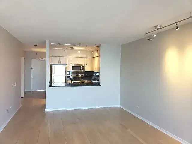 Rent Streeterville Condo with Lake Views and Full Amenities