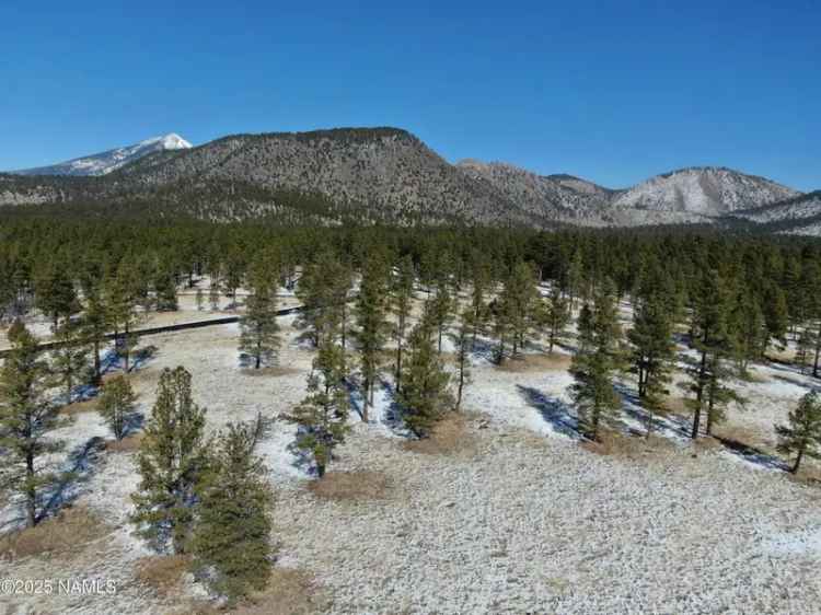 Land For Sale in Flagstaff, Arizona