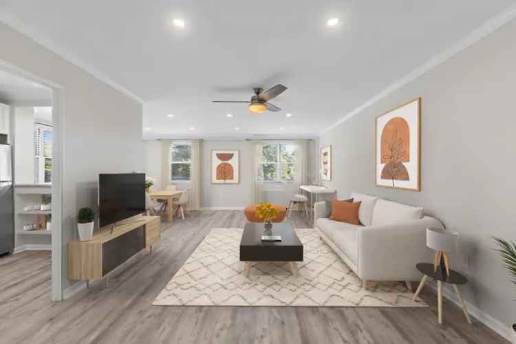 Rent Apartments in Montclair with Modern Features and Outdoor Pool