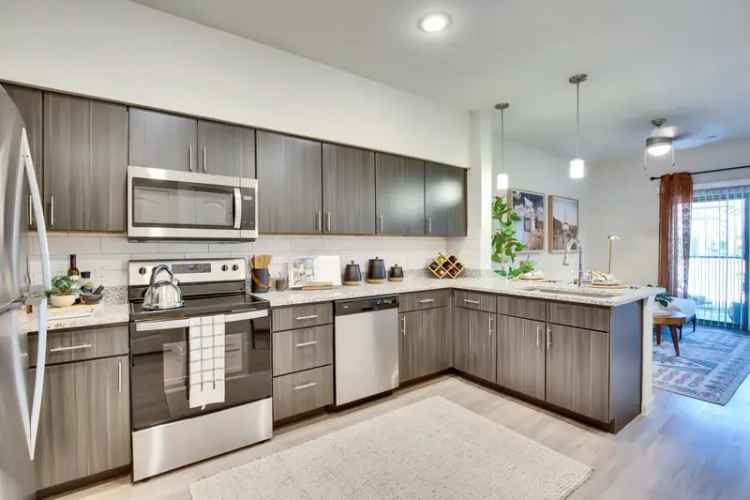 Rent Apartments in Northeast Austin with Modern Features and Amenities