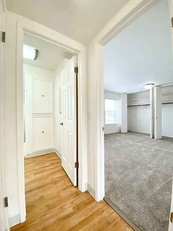 Rent Apartments in Santa Clara with High-End Amenities and Pet-Friendly Features