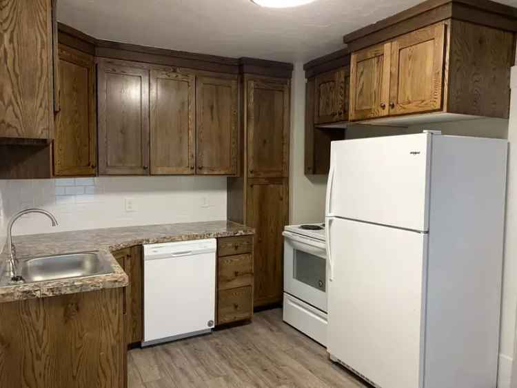 Rent Home with Garage in Idaho Falls Completely Remodeled