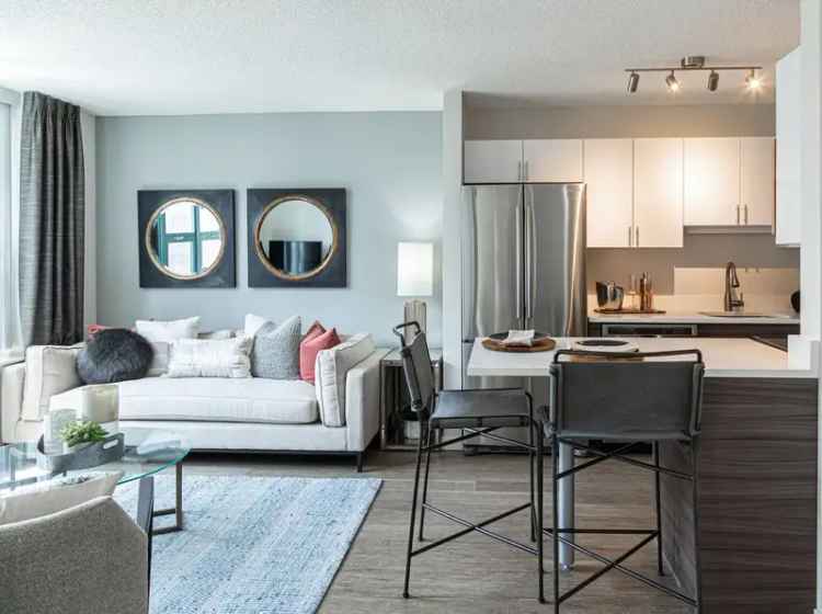 Rent Luxury Apartments in Downtown Chicago with Superior Amenities