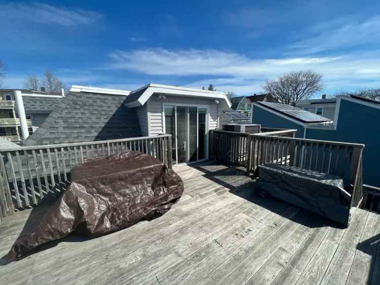 Rent Apartment in Somerville with Spacious 1 Bedroom and Roof Deck