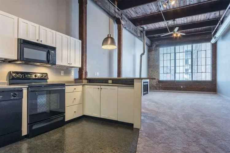 Rent Loft Apartment Downtown with Parking Pet Friendly Features