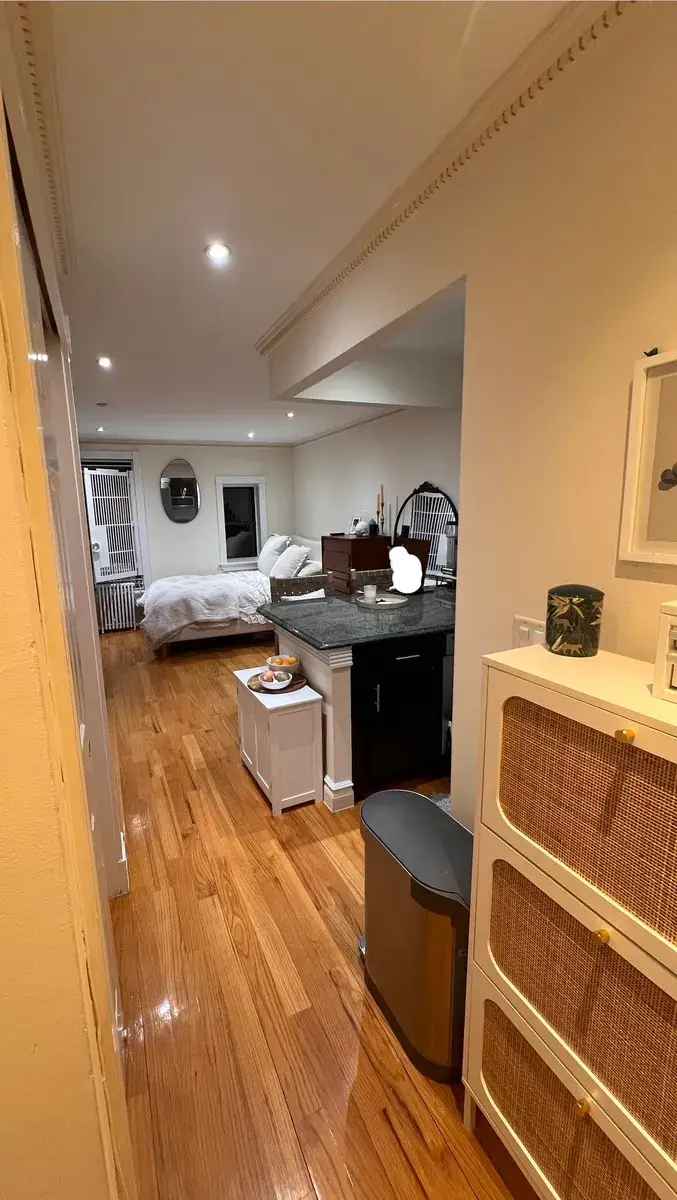 Rent Gut Renovated Apartment Unit 1 Bedroom with Modern Features