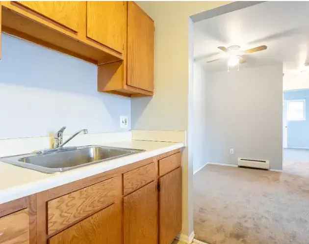 Rent Newly Renovated Apartments in Lincoln Park with No Application Fee