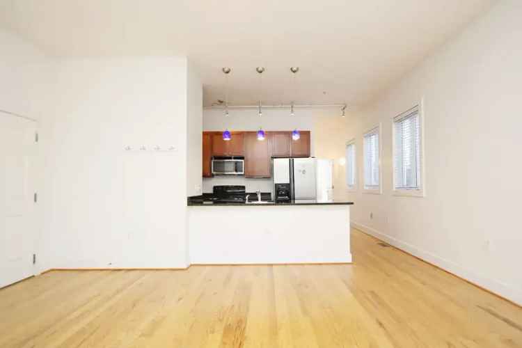 Rent Contemporary 1 Bedroom Condo Downtown with High Ceilings