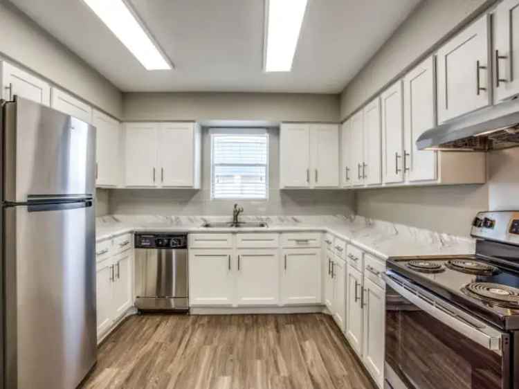 Rent Apartments in Georgetown TX with Pet-Friendly Amenities