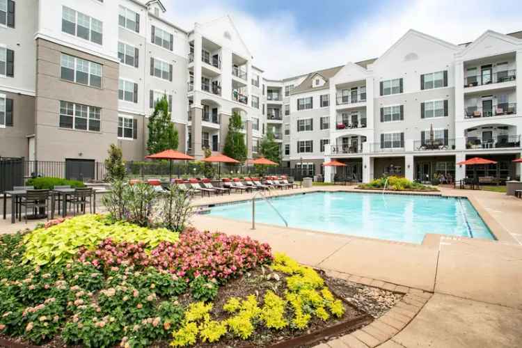 Rent Luxury Apartments in Alpharetta with Modern Elegance