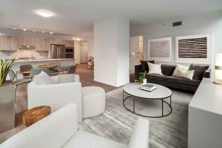 Rent Beautiful Apartments in Streeterville Chicago with Modern Amenities