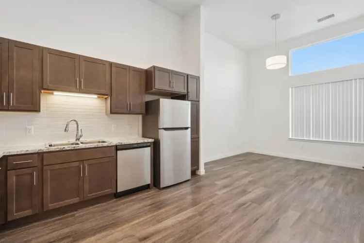 Rent Contemporary Pet Friendly Apartments at Vance Street Flats