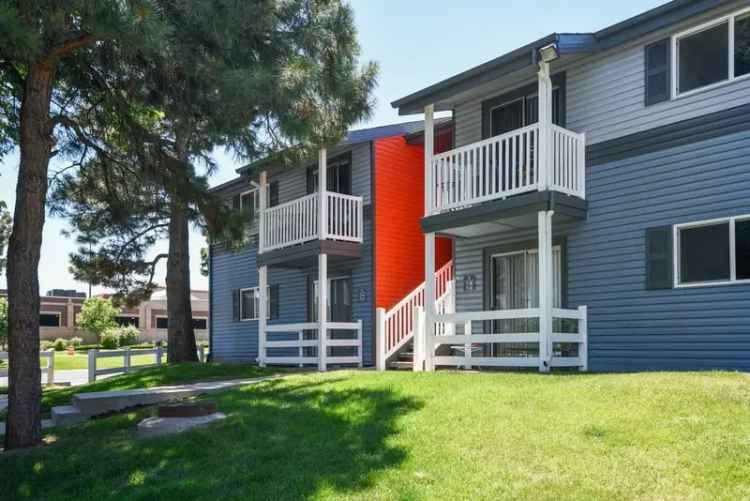 Rent Apartments in Denver CO with Spacious Layouts and Great Amenities