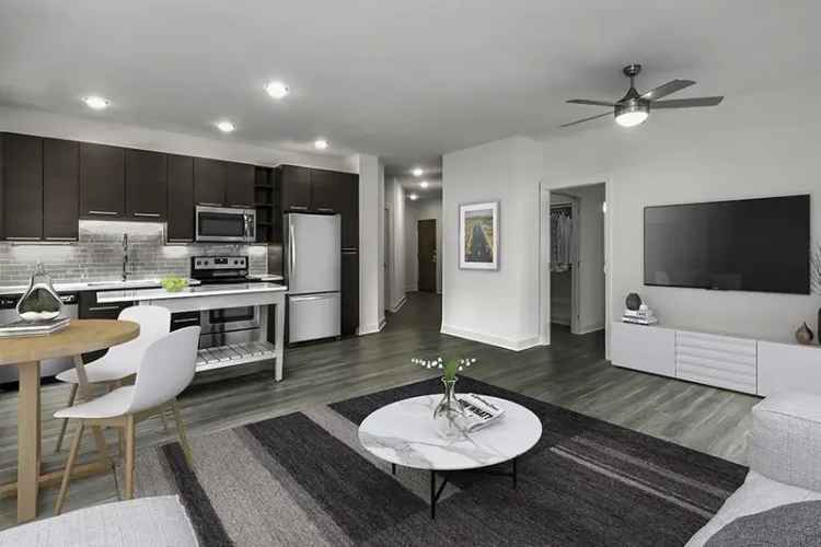 Rent Apartments in Rockville with Modern Features and Amenities