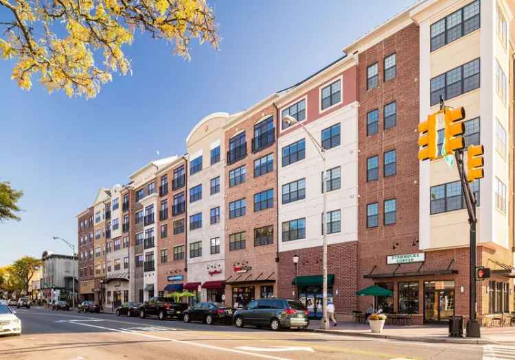 Rent Apartments in Downtown Somerville with Upscale Amenities