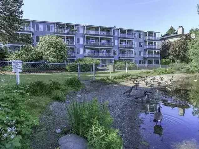 Rent Apartments at Shoreside Village in Everett with Stunning Lake Views