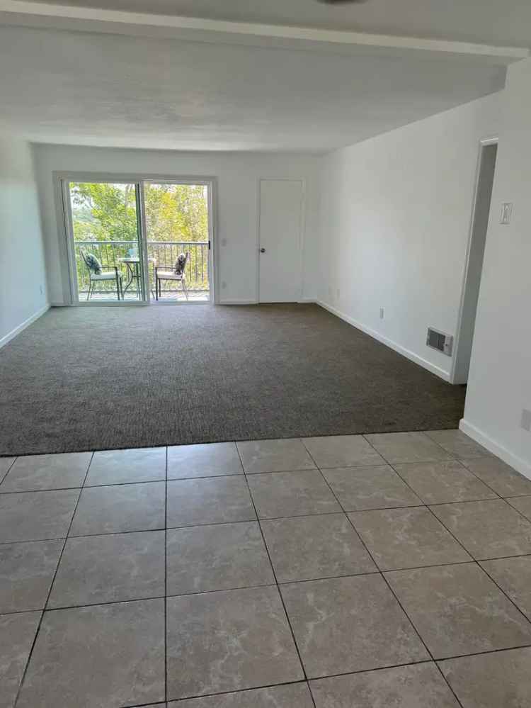 Rent Oceanview Apartment in South Oceanside with Modern Amenities