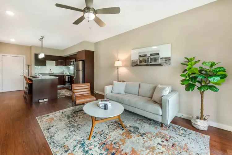 Rent Modern Apartments with Resort Style Amenities in Cedar Park