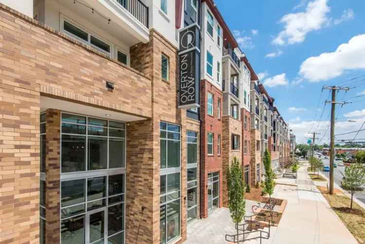 Rent Pet Friendly Apartments in Charlotte with Modern Amenities