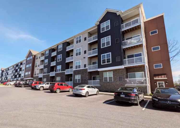 Apartments for Rent in Hershey with Modern Features and Amenities