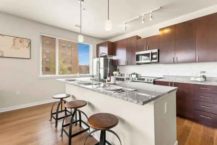 Rent Spacious Urban Apartments in Uptown Denver with Modern Amenities