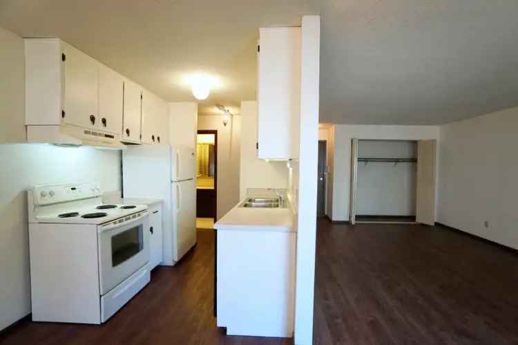 Rent Spacious Apartments in St. Paul with Modern Features