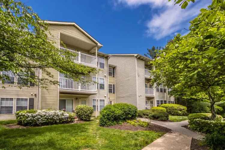 Rent Arcadian Apartments in Silver Springs with Great Amenities