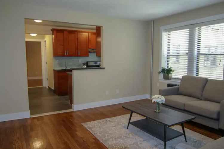 Rent Apartment Unit 1 Bedroom New Kitchen Near Restaurants Parks