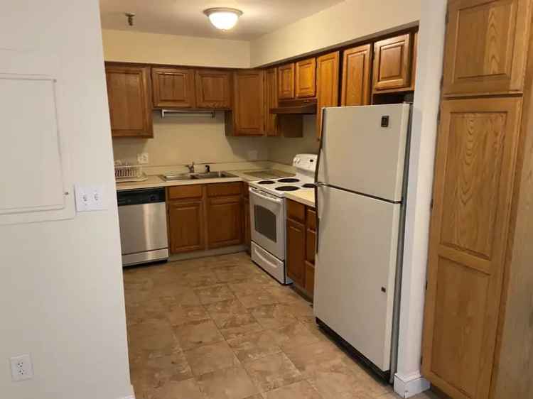 Rent Three Bed Apartment Unit in Newton with Roof Deck and Central Air