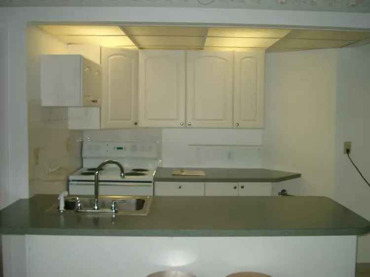 Rent Apartment Unit in Secluded Residential Area with Garden and Utilities Included