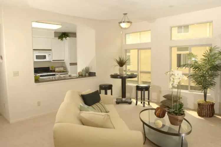 Rent Contemporary Apartments Near CSUS and Arden Mall