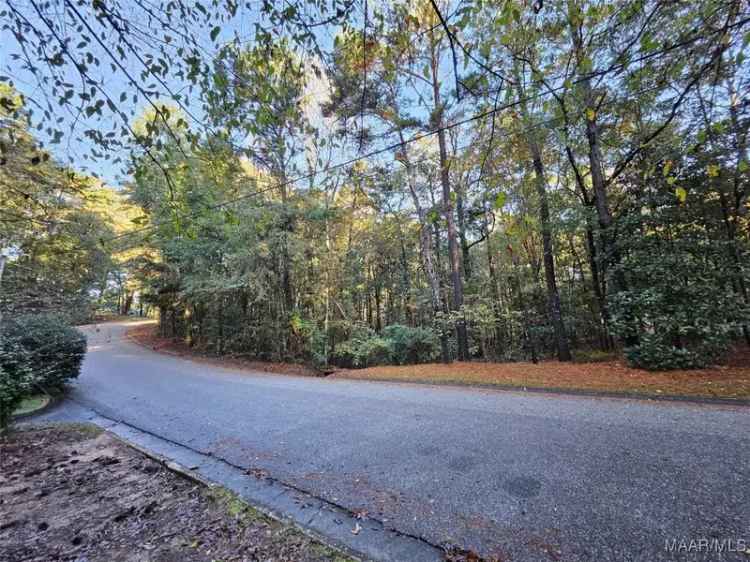 Build a House with a View on Wooded Land with Road Frontage