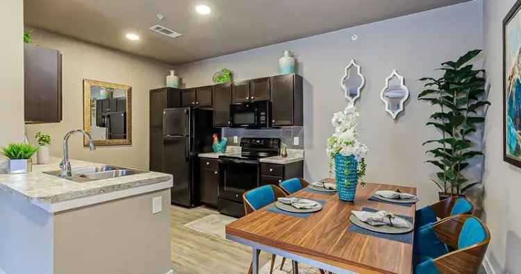 Rent Apartments in San Antonio with Swimming Pool and Fitness Center