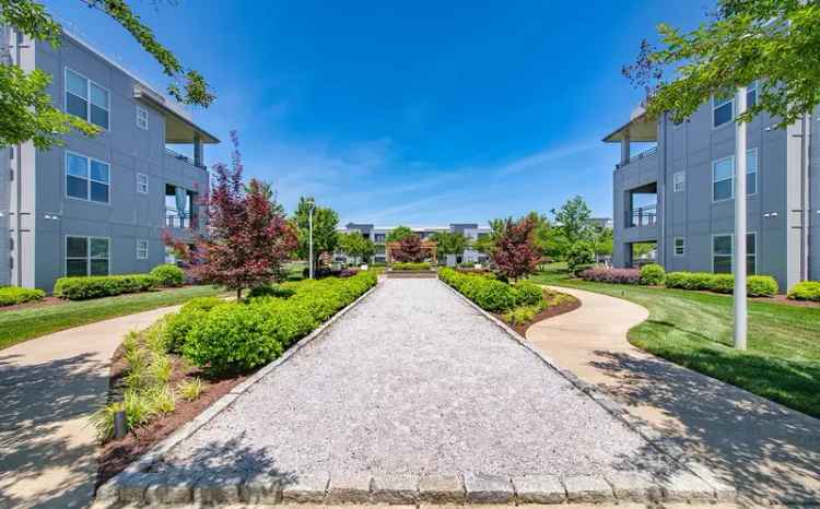 Rent Luxury Apartments in Greenville SC with Amazing Amenities