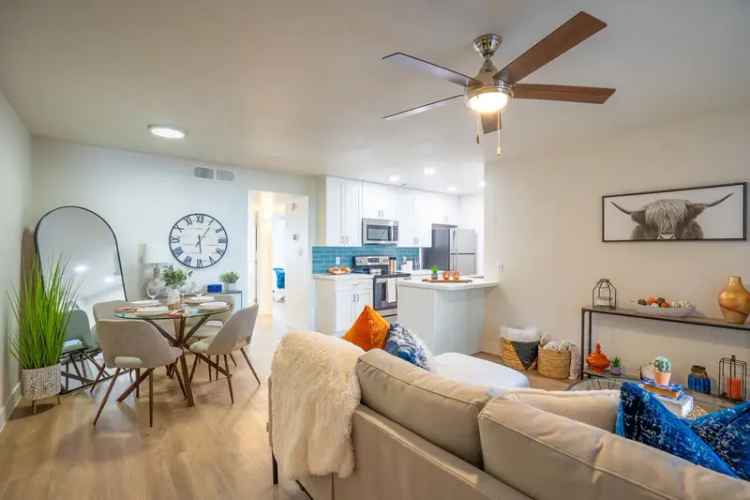 Rent Apartments with Essential Amenities and Fees Explained