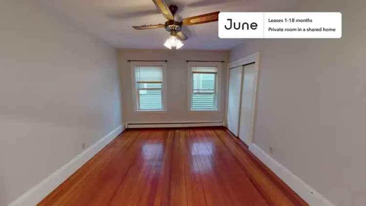 Rent Full Bedroom Apartment in Polish Triangle with Modern Amenities