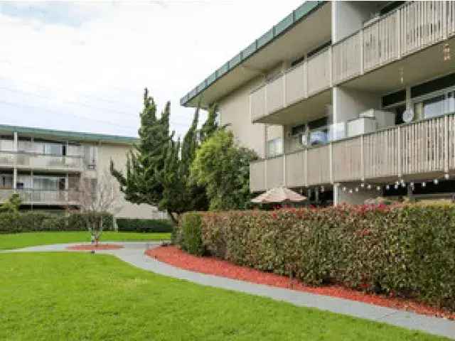 Pet Friendly Rent Apartments Foster City Near Parks and Freeways