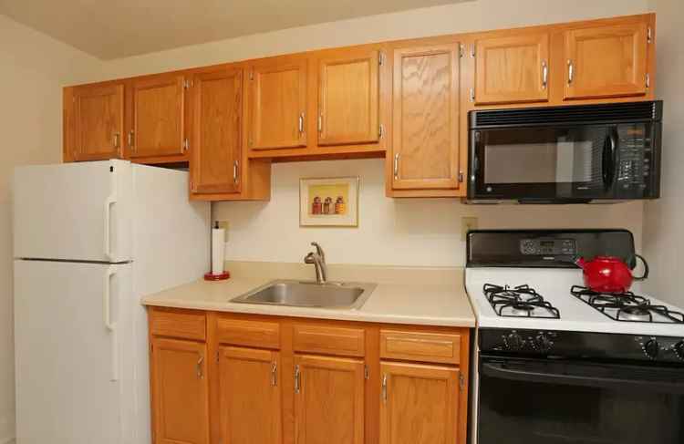 Rent Apartments in Schenectady with Modern Amenities and Comfort