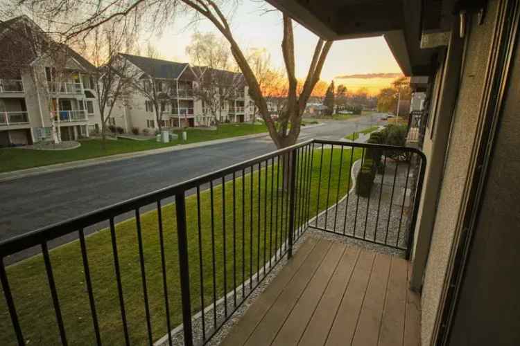 Rent Apartments in North Spokane with Modern Interiors and Amenities