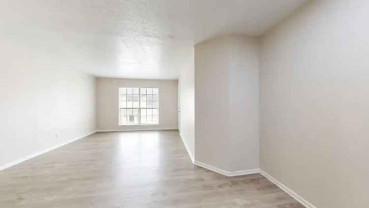 Rent Park Row Apartments in Arlington with Comfort and Convenience