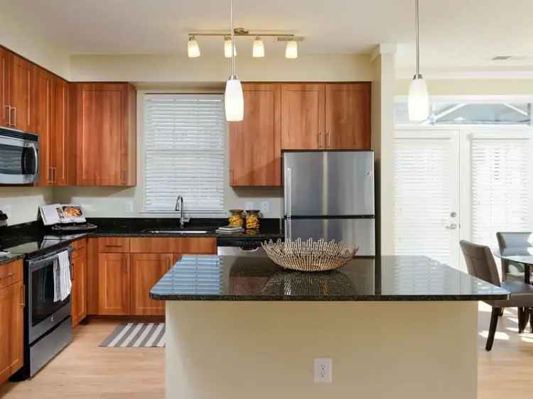 Rent Pet Friendly Apartments in Falls Church with Modern Amenities